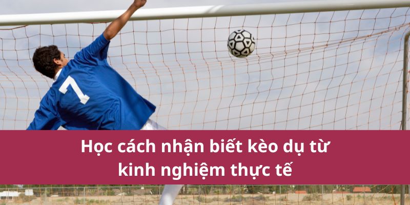 Dấu Hiệu Cách Nhận Biết Kèo Dụ Giúp Cược Thủ Tránh Rủi Ro 2 Học cách nhận biết kèo dụ từ kinh nghiệm thực tế