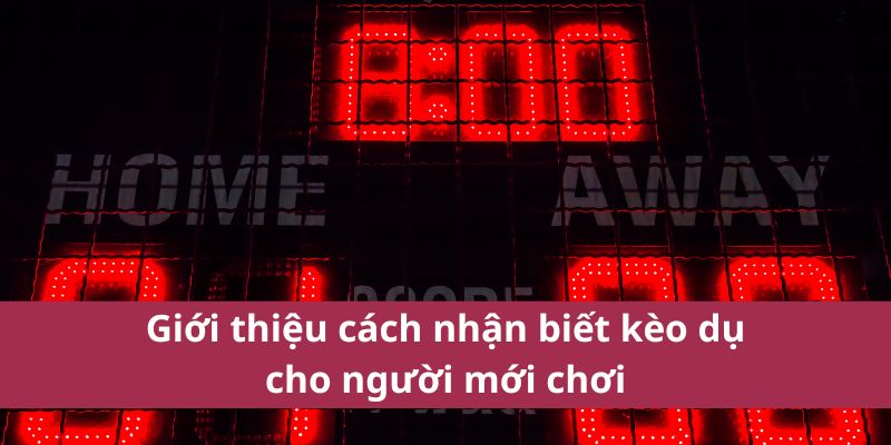 Dấu Hiệu Cách Nhận Biết Kèo Dụ Giúp Cược Thủ Tránh Rủi Ro 4 Giới thiệu cách nhận biết kèo dụ cho người mới chơi