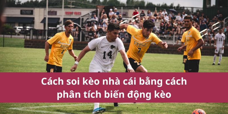 Bí Quyết Cách Soi Kèo Nhà Cái Vin777 Để Nhận Kèo Thơm Nhanh Nhất 2 Cách soi kèo nhà cái bằng cách phân tích biến động kèo
